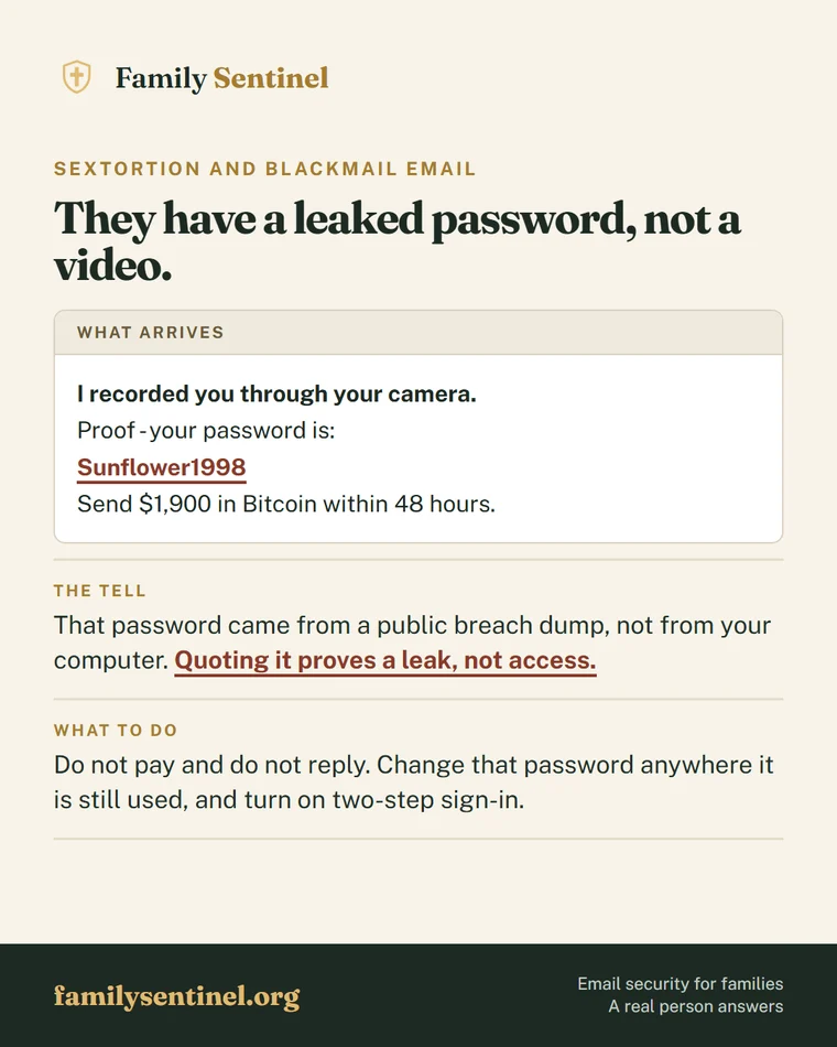 Pin showing a sextortion blackmail email quoting a breached password as fake proof