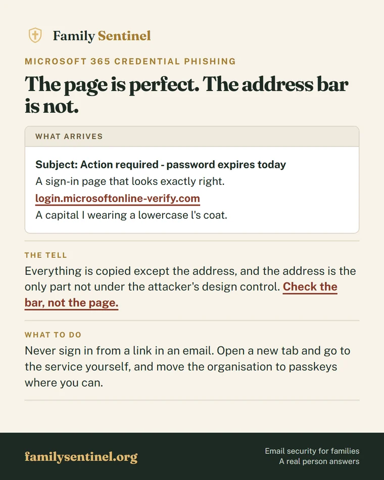 Pin showing a fake Microsoft 365 sign-in page identifiable only by its web address